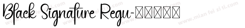 Black Signature Regu字体转换